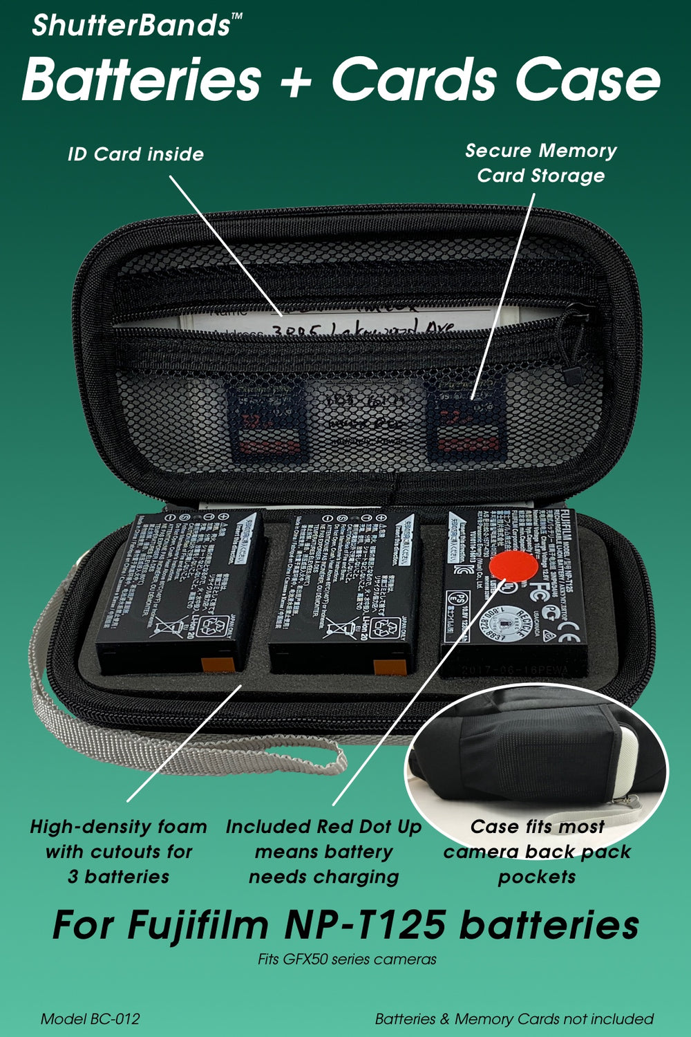 Fuji_NP-T125_Batteries_Cards-